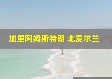 加里阿姆斯特朗 北爱尔兰